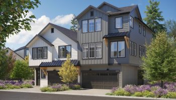 Vineyard Creek Rendering